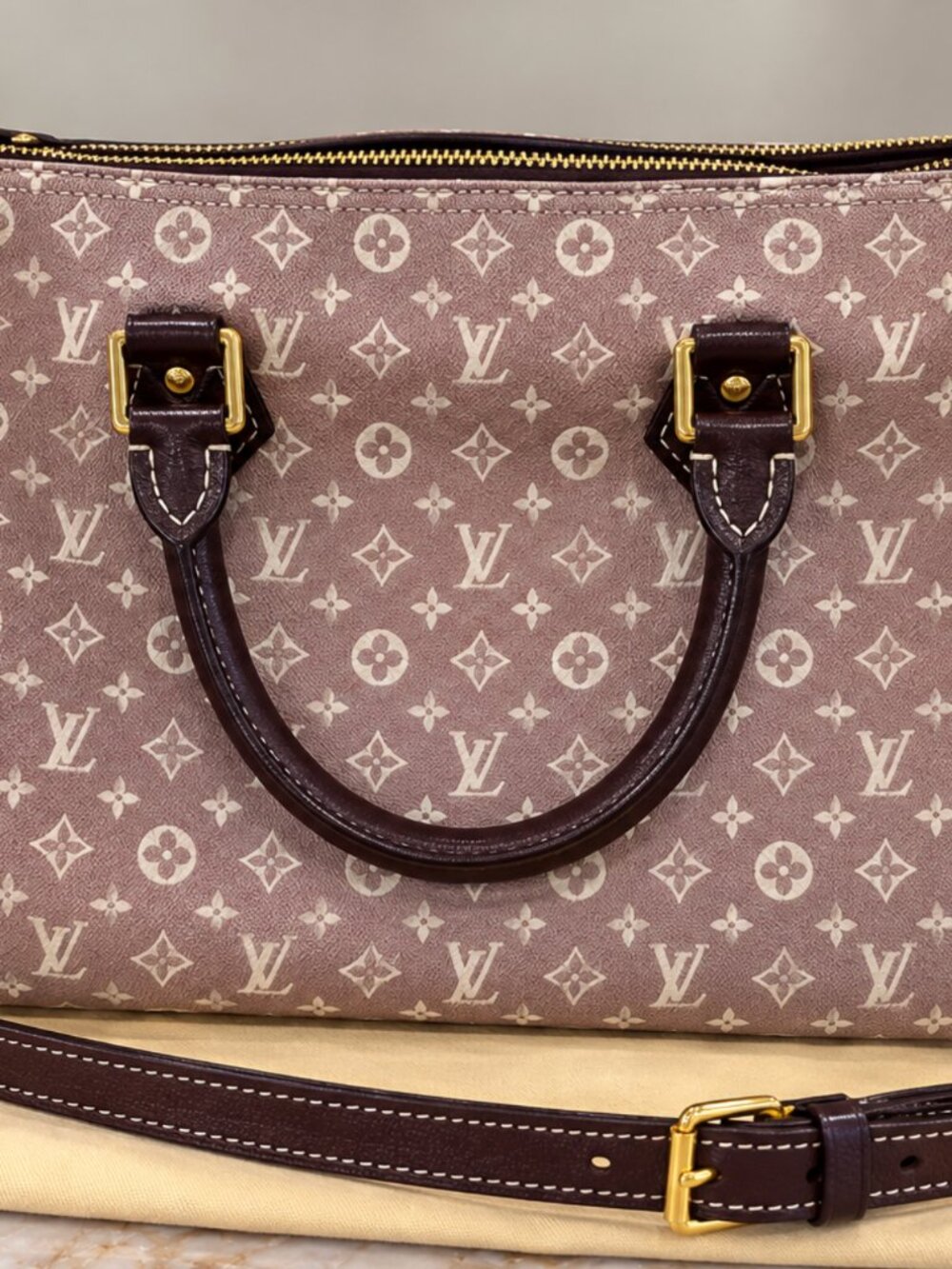 Louis Vuitton Mini Lin Speedy Bandoulière 30 Monogram Shoulder Bag